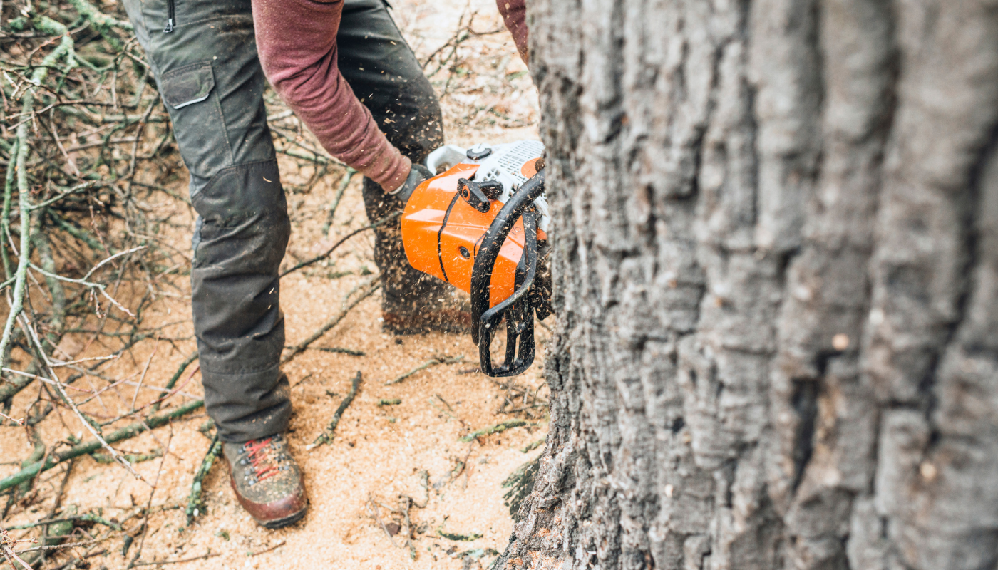 A man is using a chainsaw to cut a tree