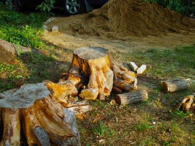 A pile of wood sitting on top of a lush green field