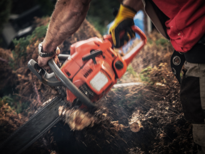 A man using a chainsaw to cut a tree