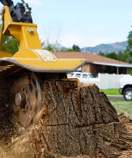 A tree stump being cut down by a machine