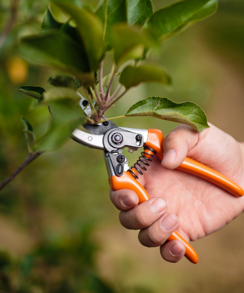 A person holding a pair of scissors in their hand